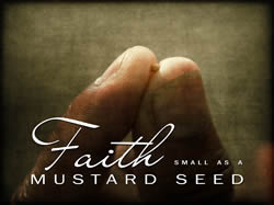 Mustard Seed